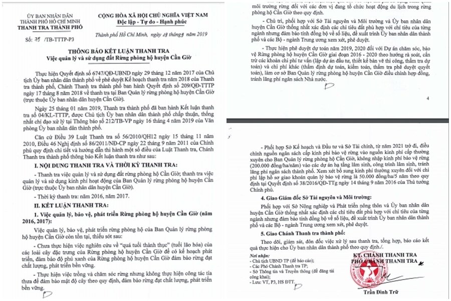 nhieu-sai-pham-trong-quan-ly-su-dung-dat-rung-phong-ho-huyen-can-gio