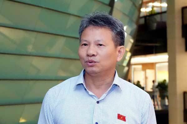 Ủy viên Thường trực Ủy ban Kinh tế của QH Đỗ Văn Sinh: 
