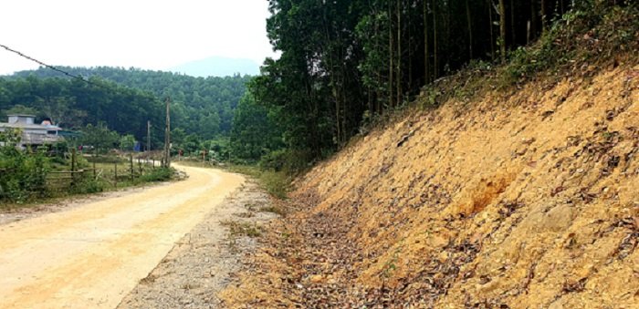 Hàng cây đã bị di rời sạch bóng. (Ảnh: Kinh tế đô thị).
