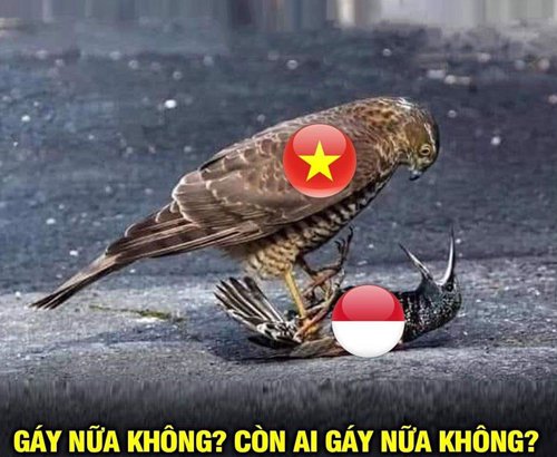 loat-anh-che-cuc-hai-cua-thay-tro-ong-park-sau-tran-chung-ket-bong-da-nam-sea-game-30