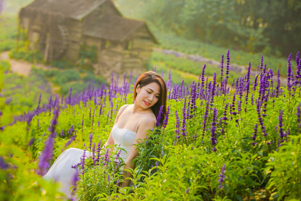 ngo-ngang-xuat-hien-canh-dong-hoa-tim-biec-tai-long-bien-hut-mat-gioi-tre