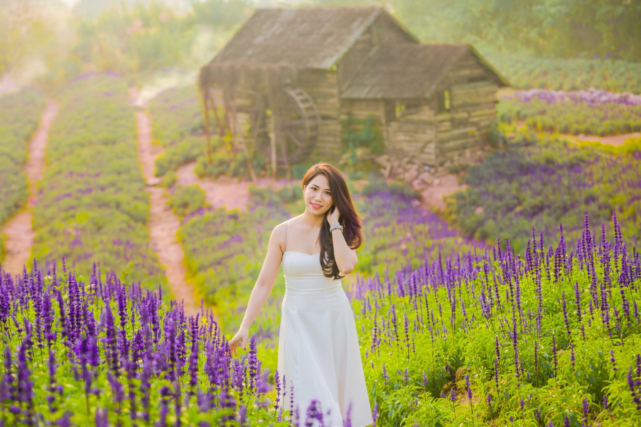 ngo-ngang-xuat-hien-canh-dong-hoa-tim-biec-tai-long-bien-hut-mat-gioi-tre
