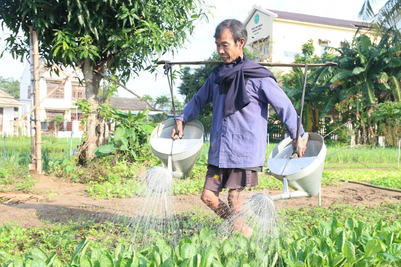 cam-cui-trong-rau-cung-ung-dip-tet-o-ngoi-lang-noi-danh-rau-sach