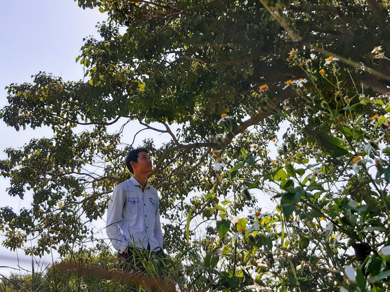 can-canh-cay-co-don-tuyet-dep-o-lang-que-yen-binh-xuat-hien-trong-phim-mat-biec