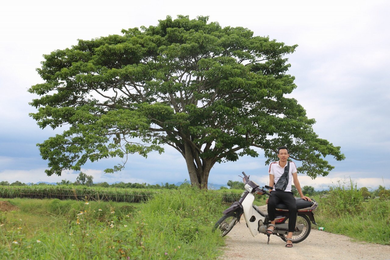 ngay-sau-hieu-ung-cua-phim-mat-biec-thua-thien-hue-khao-sat-mot-so-diem-quay-trong-phim