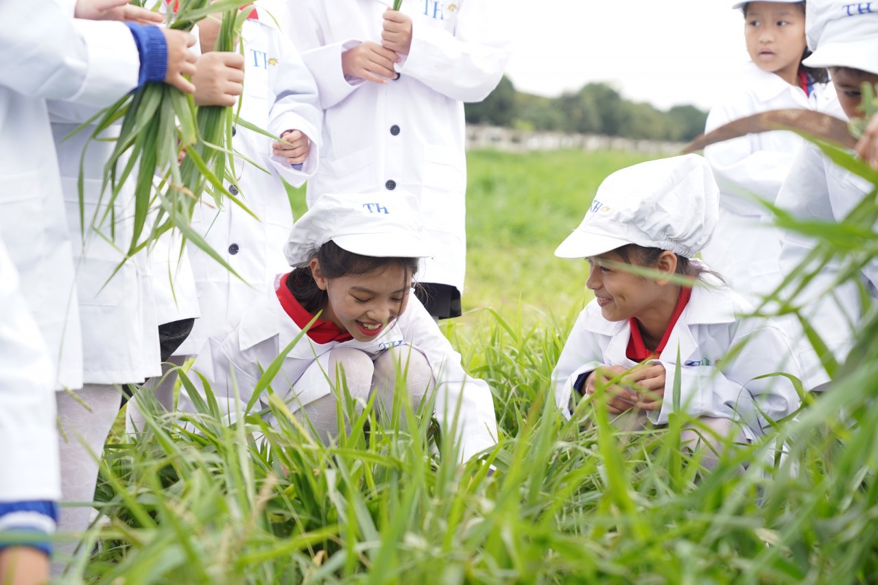 Cô trò  háo hức kiểm tra thức ăn cho những cô bò sữa ở trang trại bò sữa organic