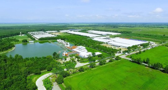 tet-tai-resort-bo-sua-vinamilk-co-gi-dac-biet