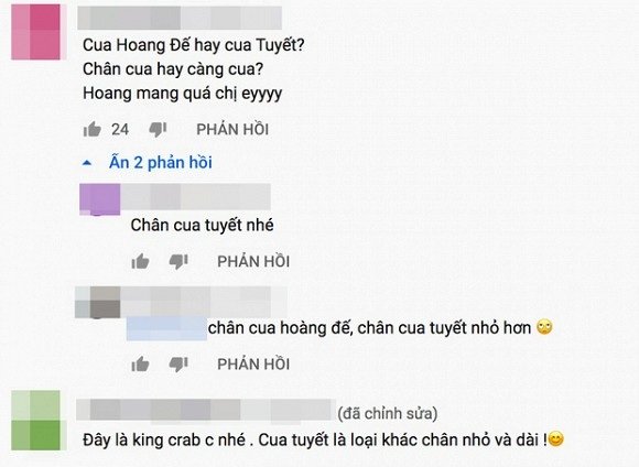 sao viet1