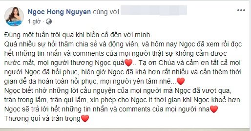 sao viet1