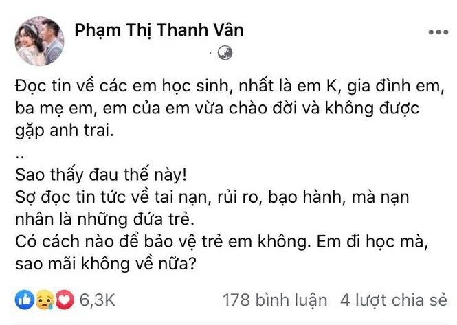 sao viet1