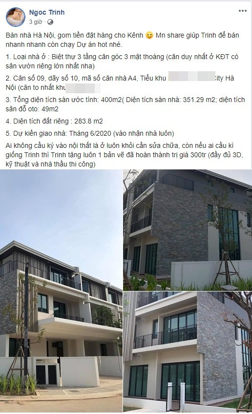sao viet1