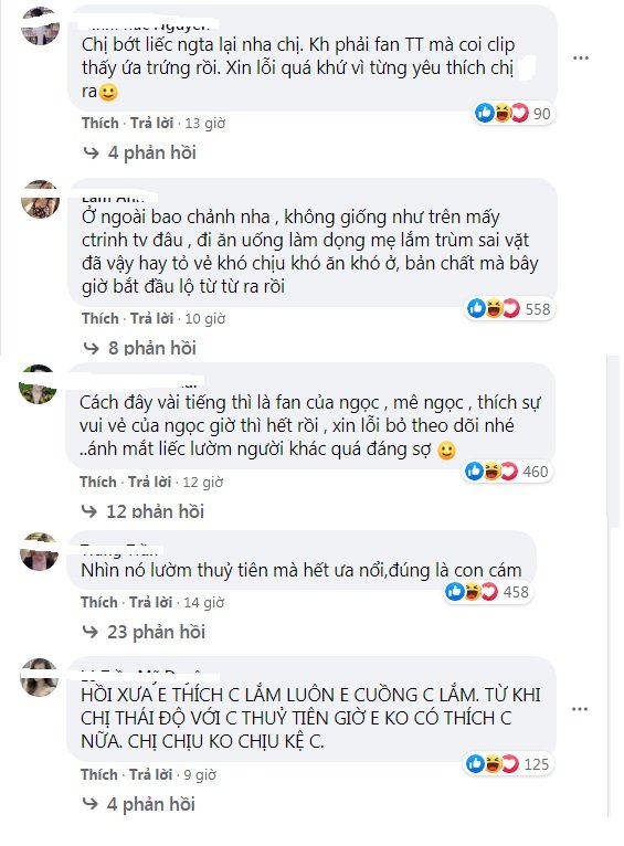 Ninh Dương Lan Ngọc bị cư dân mạng tổng tiến công trang cá nhân