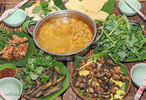 Ao Quán được mệnh danh là “hồn quê giữa lòng Hà Nội”.