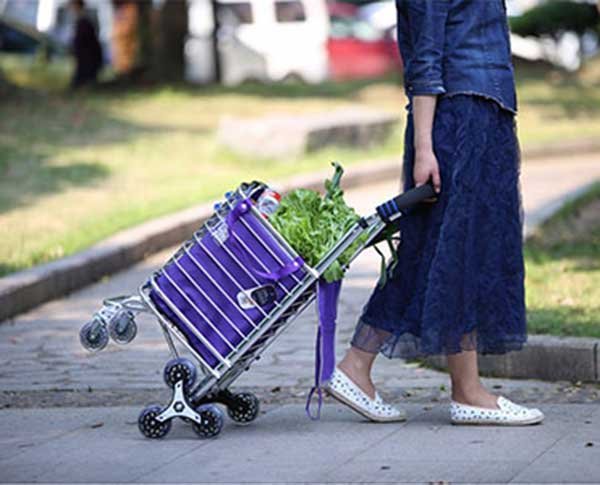 Những chiếc xe kéo đi chợ có bánh xe sẽ giúp mẹ di chuyển dễ dàng hơn, tiết kiệm sức lực hơn và đặc biệt là về lâu dài sẽ không ảnh hưởng đến sức khỏe của mẹ.