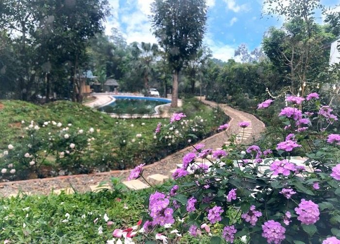 Xung quanh Queen’s Homestay được trồng rất nhiều cây xanh.