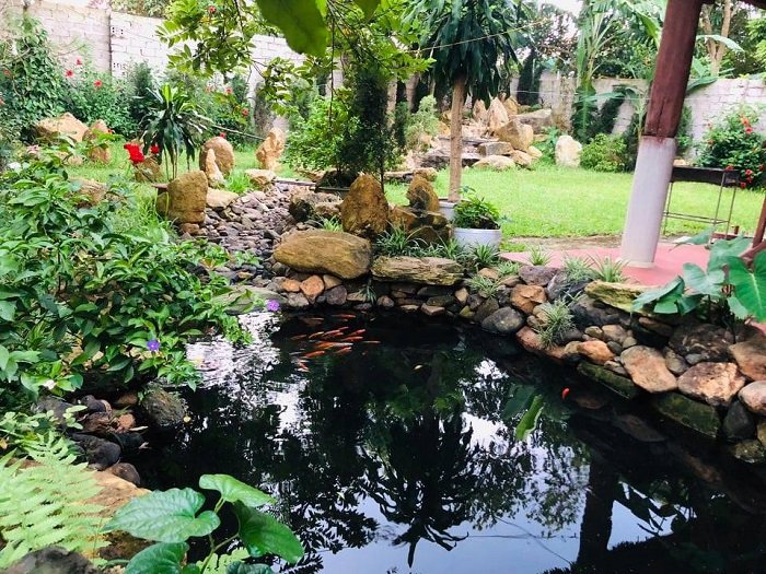 Bể cá siêu xinh mang lại cảm giác bình yên tại Queen’s Homestay.