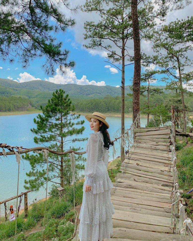 Nếu không chịu được thời tiết rét đậm của miền Bắc, bạn có thể lên đường tới Đà Lạt tận hưởng khí hậu mát mẻ.