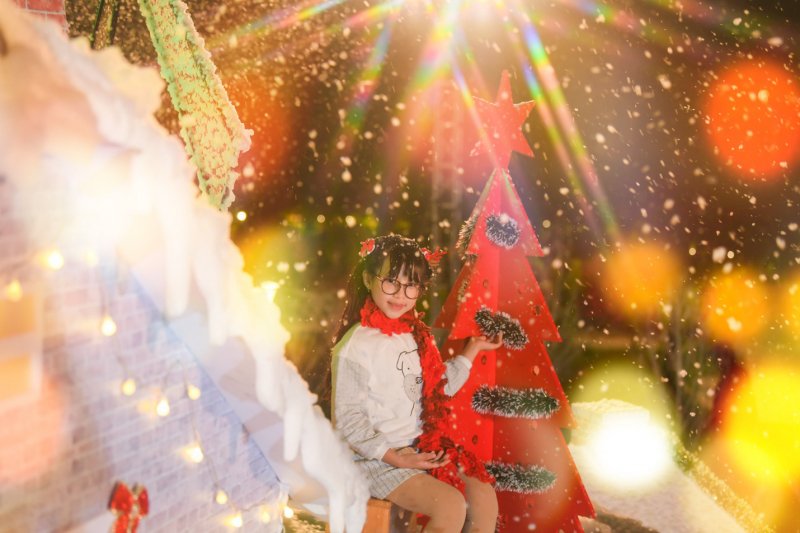 Một rừng thông xanh đỏ đủ màu cùng những hàng cây trắng xếp tầng xa xa
