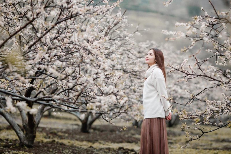 Du khách sẽ không khỏi ngỡ ngàng trước sự hòa quyện giữa vẻ đẹp hoang sơ của cánh rừng nguyên sinh