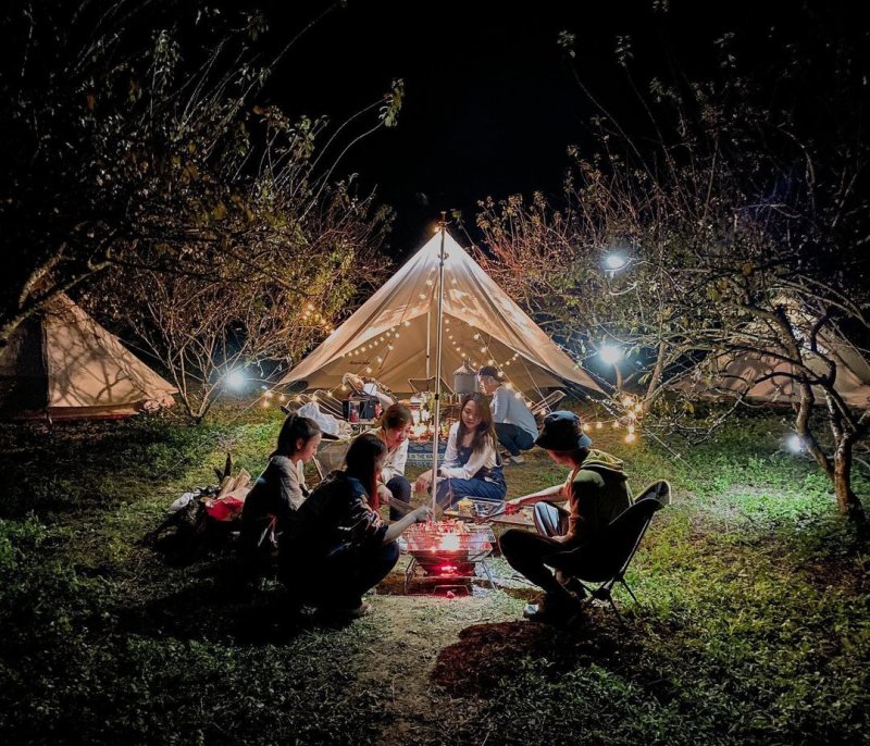 Thung lũng hoa mận nở rợp trời tạo nên phông nền check-in lãng mạn cho du khách.