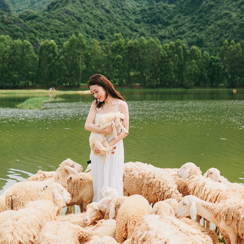 Đồng cừu Gia Hưng