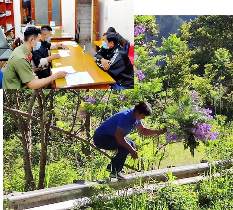 Nam du khách thừa nhận việc bẻ hoa ở khu du lịch là hành vi phản cảm.