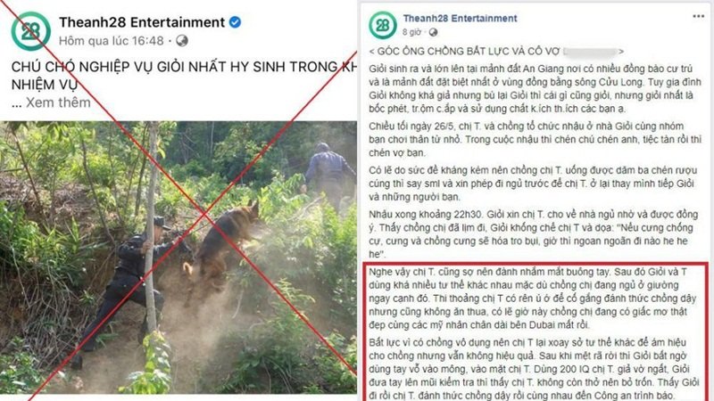 Theanh28 liên tục đăng tải những thông tin bịa đặt, sai sự thật, chế diễu nạn nhân vụ án hiếp dâm khiến cộng đồng mạng phẫn nộ.
