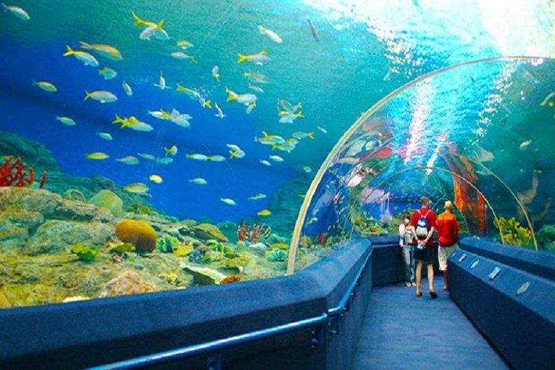Viện Hải dương học Nha Trang. (Ảnh: Du lịch Nha Trang).