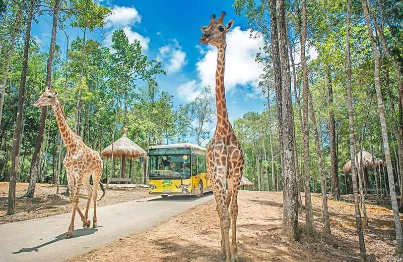Vinpearl Safari. (Ảnh: ST).