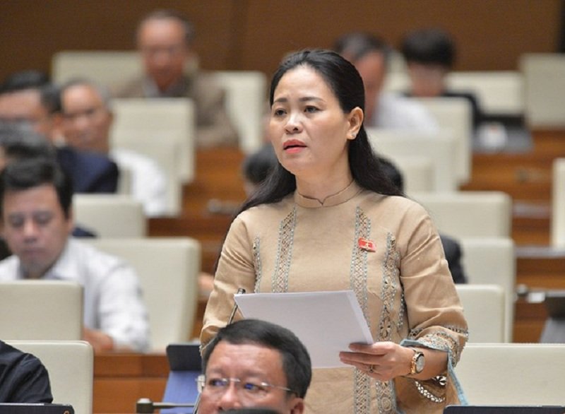Đại biểu Nguyễn Thị Thu Dung. (Ảnh: Zing.vn).