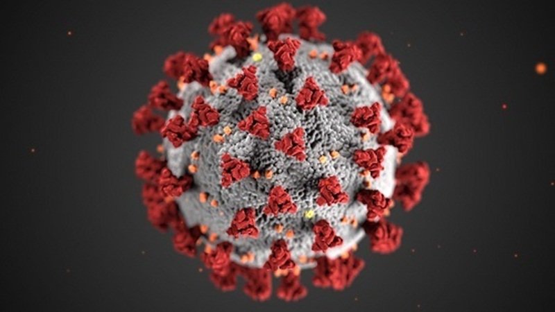 7. Virus thứ 7: Một loại virus Corona đã trở thành câu chuyện lớn nhất của năm 2020 khi nó gây ra đại dịch tàn khốc. SARS-CoV-2 là loại virus Corona thứ 7 được biết đến là lây nhiễm sang người.(Ảnh: Centers for Disease Control and Prevention).