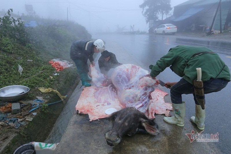 Nét văn hóa mổ trâu ven đường của người bản địa.