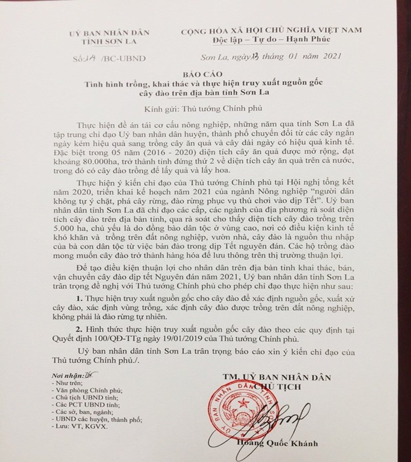 Văn bản của UBND tỉnh Sơn La gửi Thủ tướng về việc thực hiện truy xuất nguồn gốc cây đào.