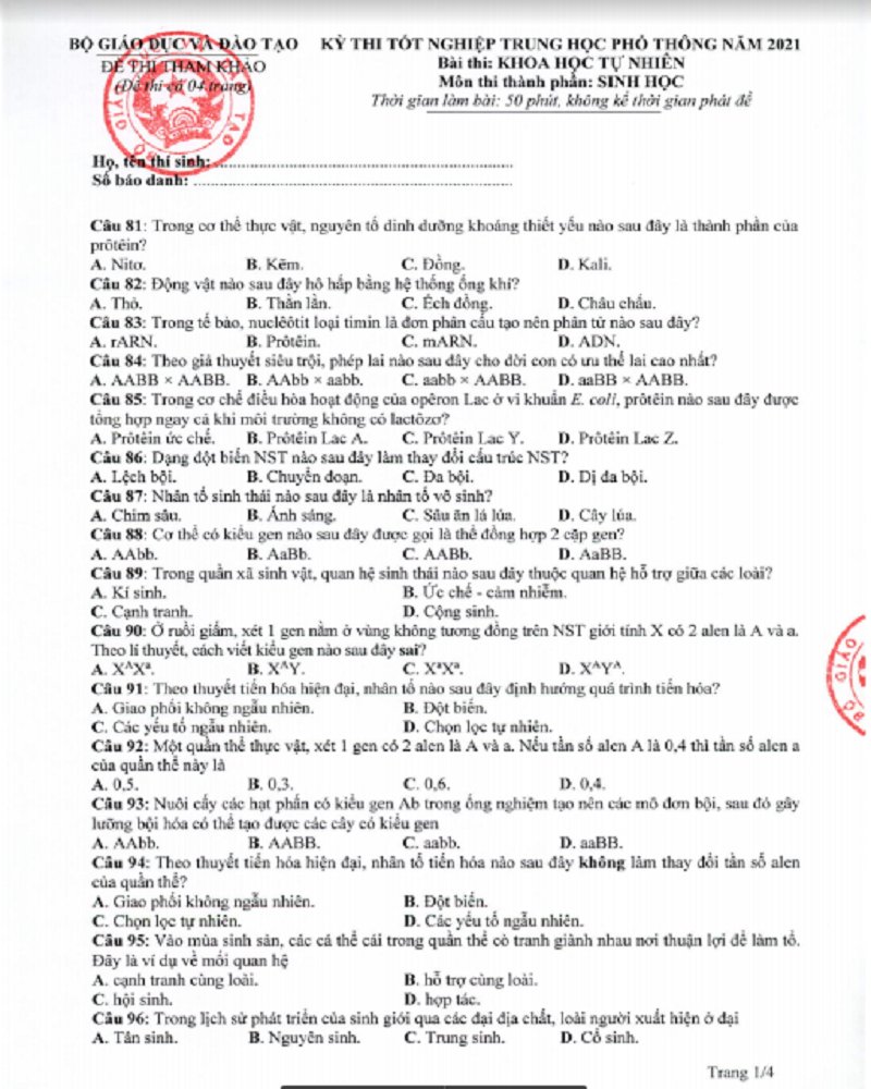 sinh4