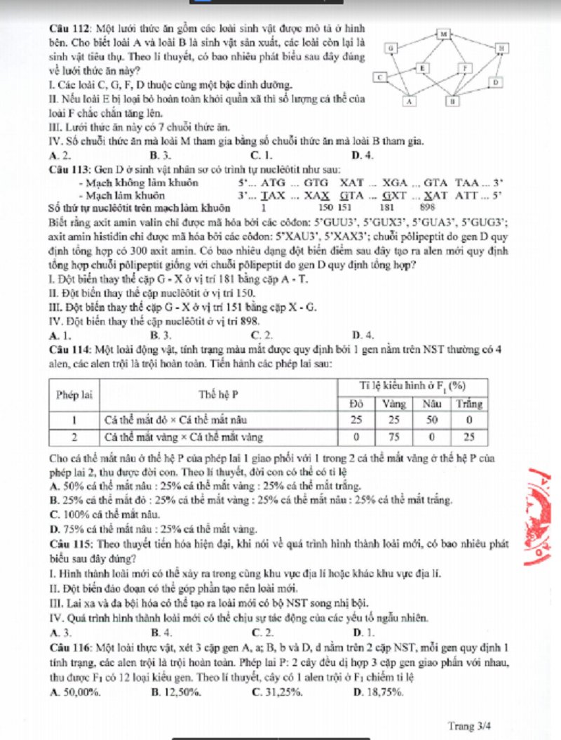 sinh6