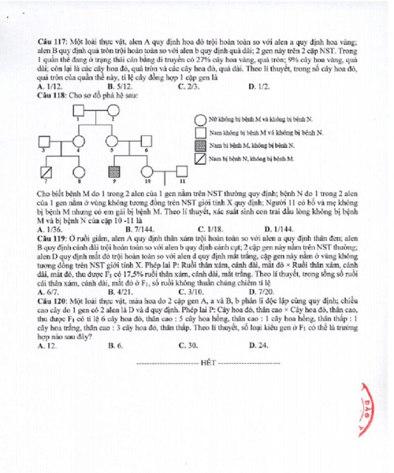 sinh7