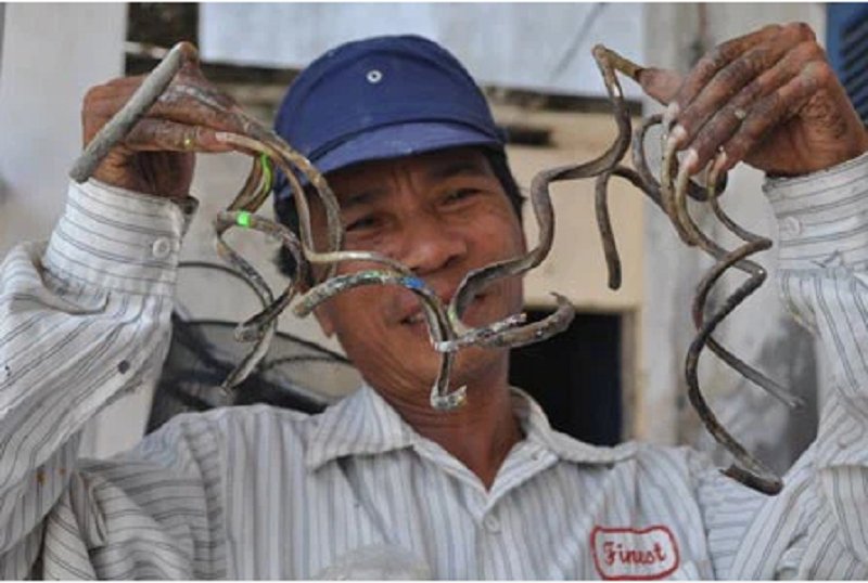 Dị nhân khoe bộ móng tay dài kỷ lục. (Ảnh: Doanh nghiệp và tiếp thị).