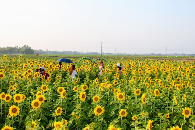 Khu vườn rộng lớn.