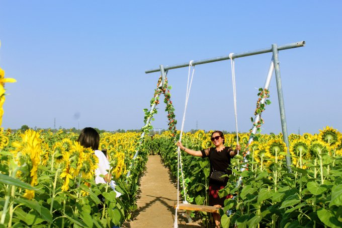 Vườn hoa được bày trí với nhiều tiểu cảnh đa dạng.
