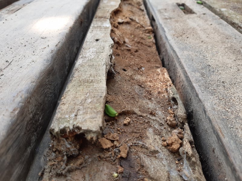 Nhiều vị trí bị hư hỏng.