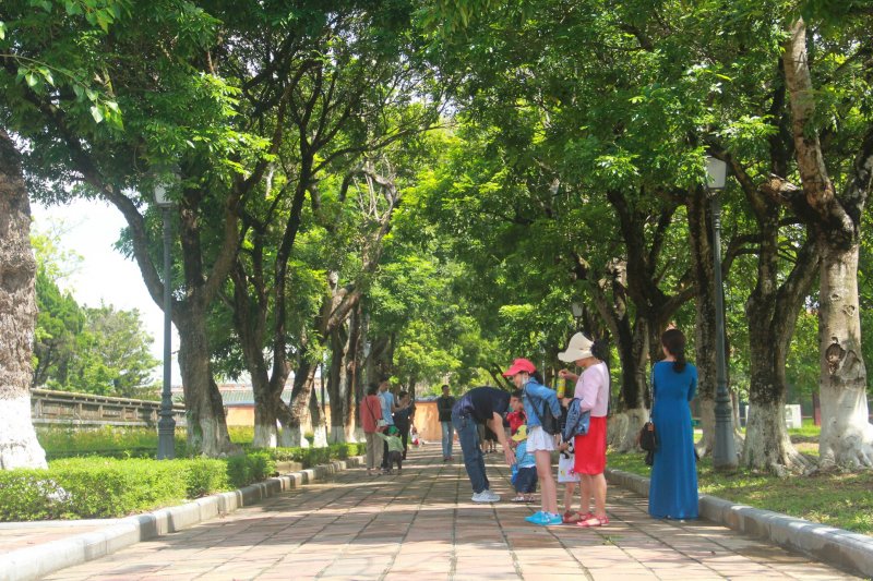 Hạn chế đi tập trung theo đoàn với số lượng trên 30 người.