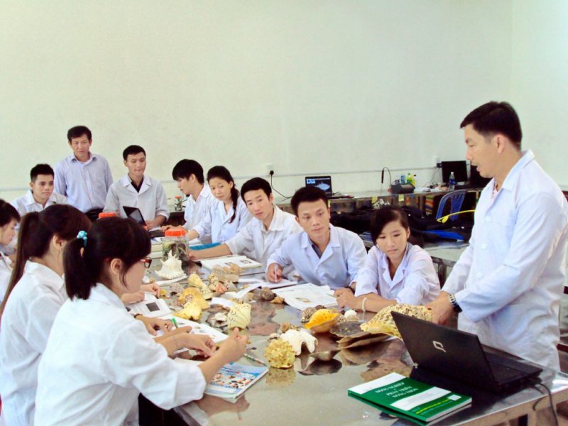 Nhiều học bổng hấp dẫn.