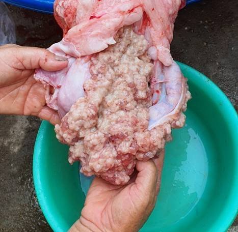 Trứng cá mú nghệ.