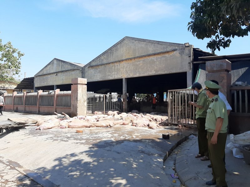Lực lượng chức năng có mặt tiến hành điều tra làm rõ.