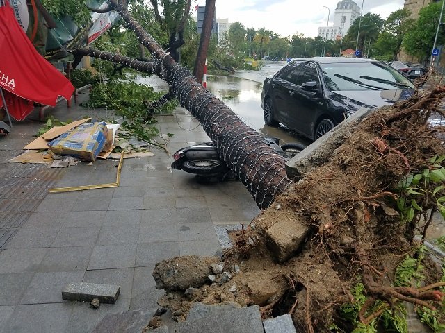Cây cối gãy ngã, đổ xuống đường, đè lên chiếc xe máy.