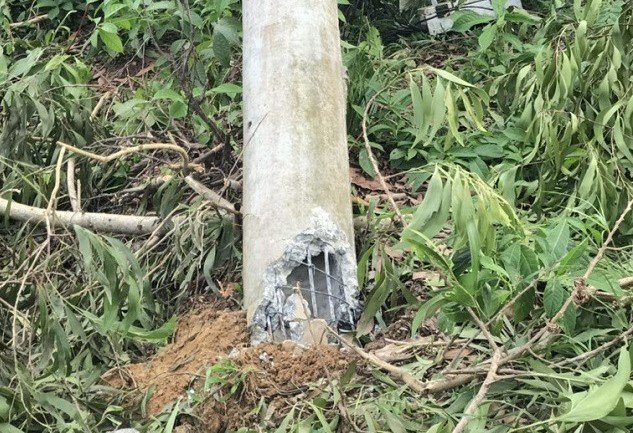 Cơn bão đã khiến 272 cột điện trên địa bàn tỉnh này bị gãy.