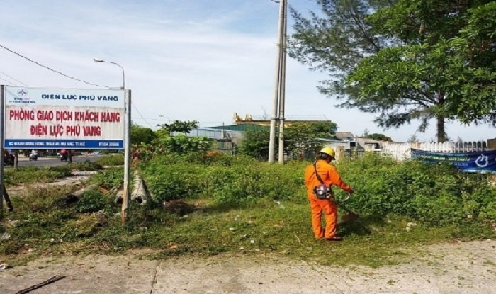 Dọn dẹp, vệ sinh môi trường.