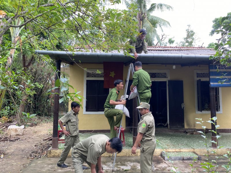 Giúp dân chằng chống nhà cửa.