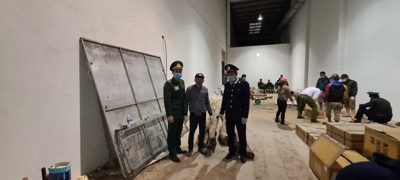 135 thanh gỗ (nghi gỗ trắc) với tổng trọng lượng là 2.245kg.