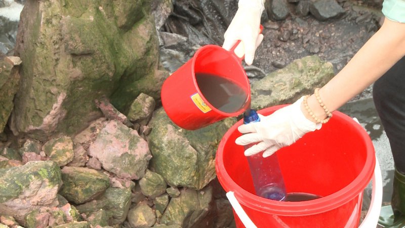 Công ty TNHH Xây dựng và Chăn nuôi Trí Dũng chuyên hoạt động chăn nuôi heo.